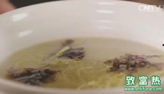 农广天地小吃全部视频,传统美食的传承与创新之旅