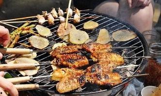 电陶炉烧烤教程视频,轻松掌握家庭烧烤技巧